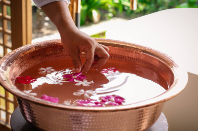 Visiting Wellness Experts